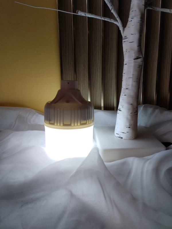 Foto1_1 FOCOS RECARGABLES 80W