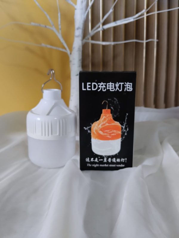 Foto1_2 FOCOS RECARGABLES 80W